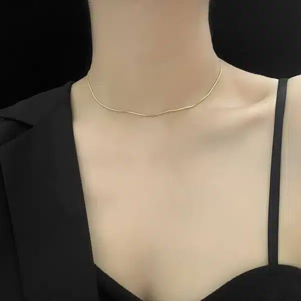 Minimalist Stainless Steel Thin Round Snake Chain Necklace for Women — Simple Boho Hip-Hop Choker
